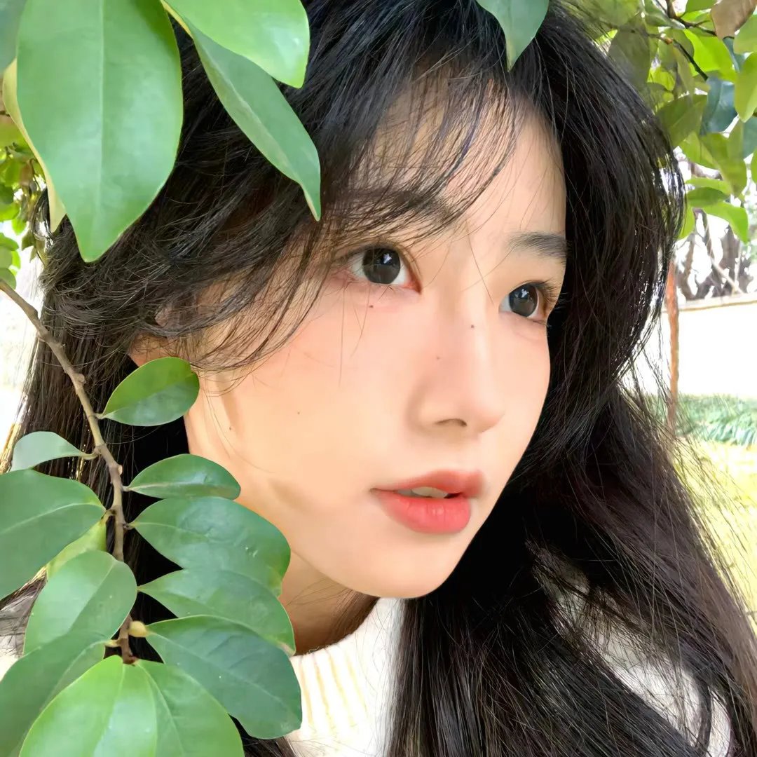 百花小姐